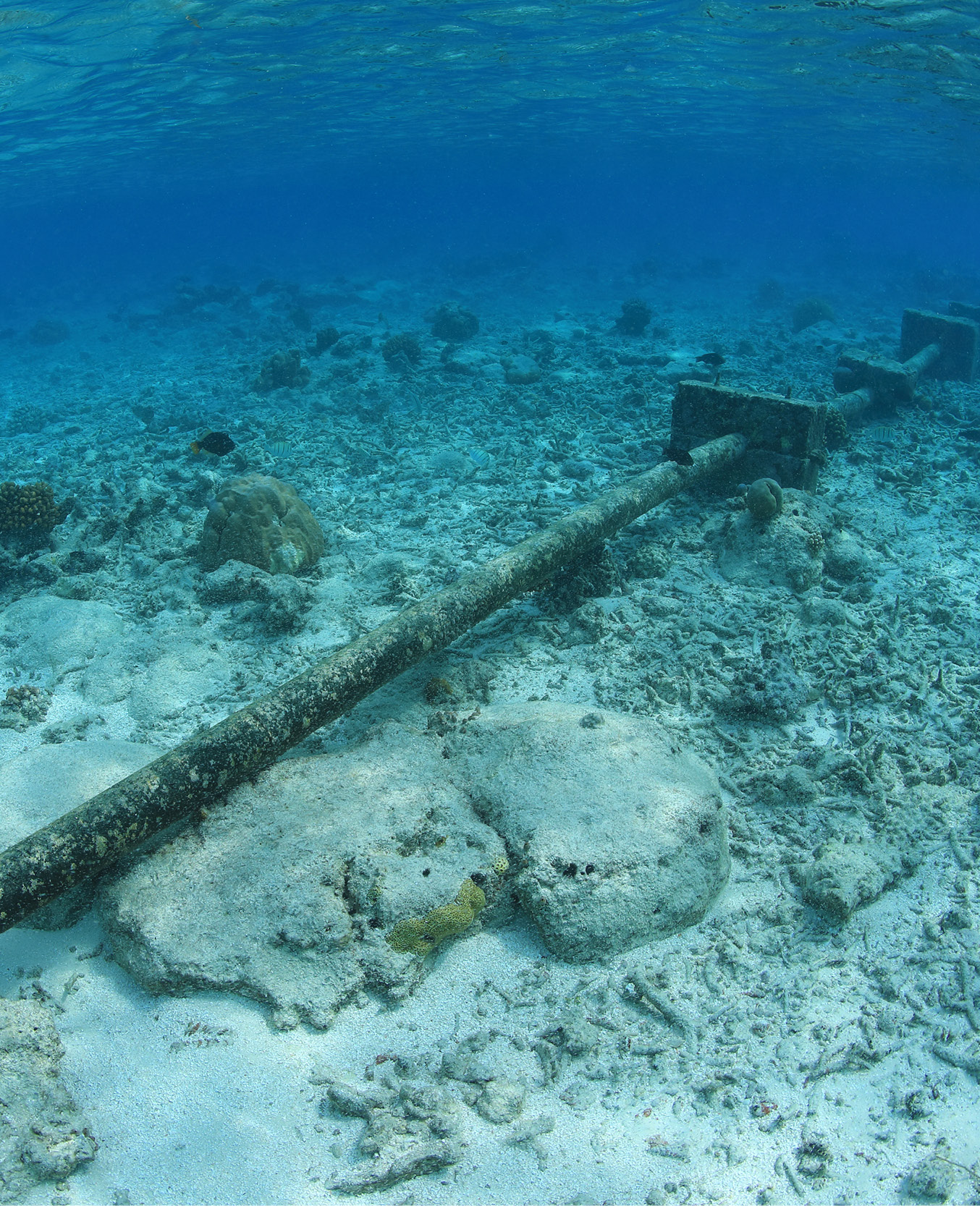 OI_Website_Carousel_34